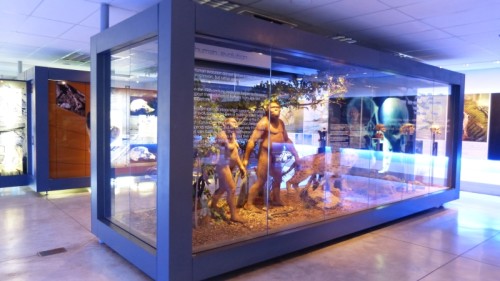 Hoehlen-01-Ausstellung