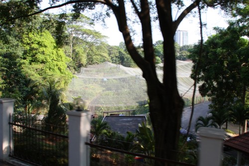 KL Downtown 04 - Vogelpark
