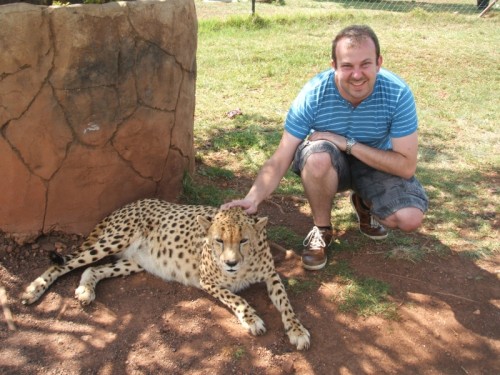 Tiere hautnah 02 - Gepard